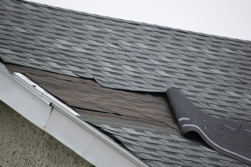 Shingle Repair and Replacement