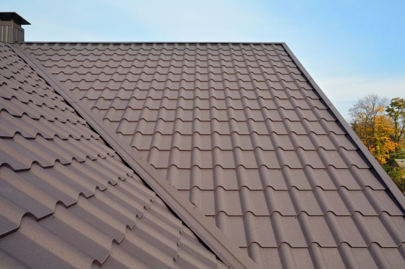Aesthetic Roofing Designs